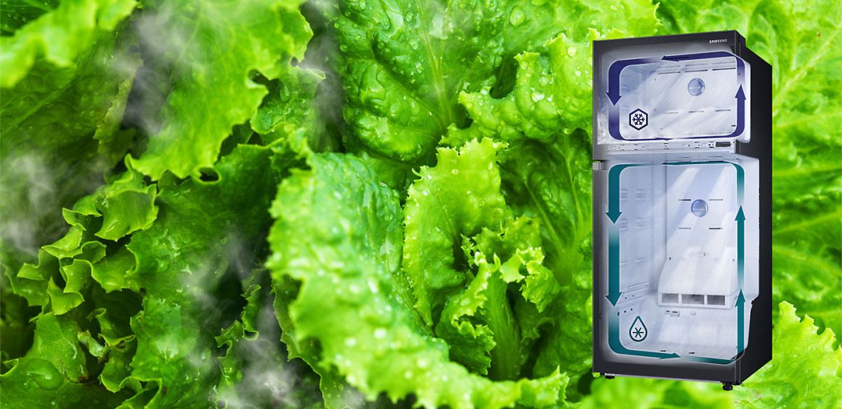 Bing Lee Buyer’s picks: Samsung fridges and&nbsp;washers