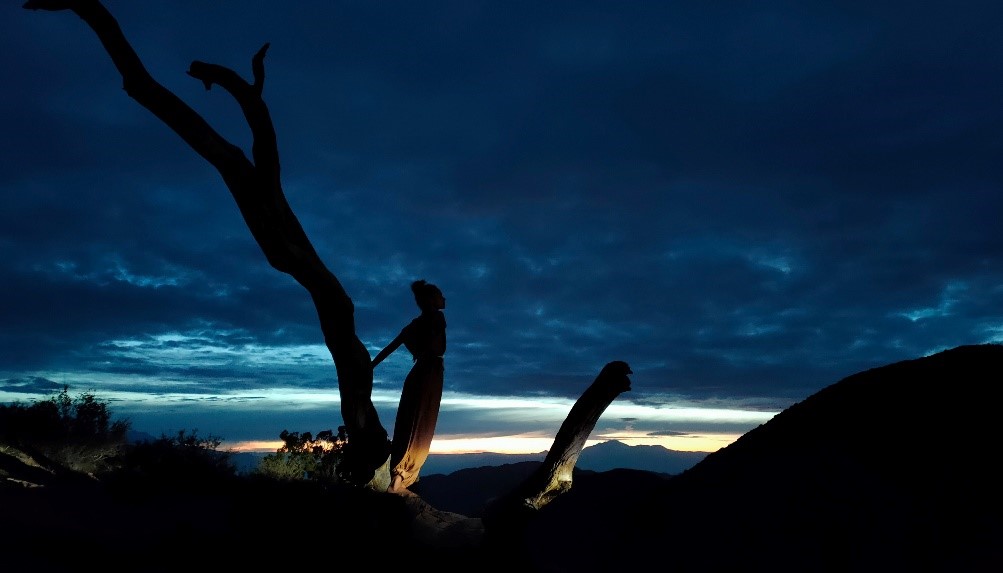 Reno5G-Ultra-Night-Mode-2.0